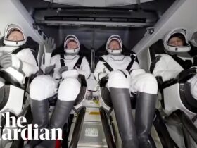 NASA astronauts 'Butch and Suni' return to Earth after nine months in orbit